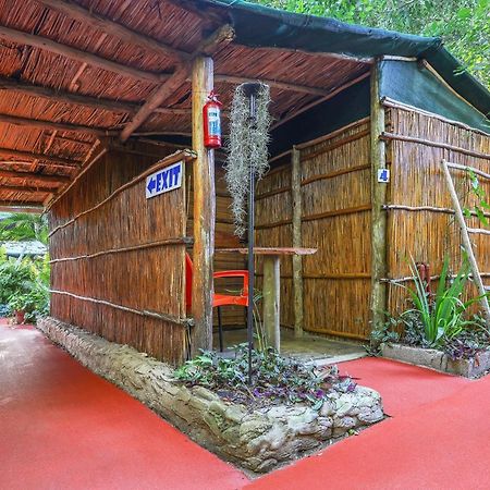 Gala Gala Eco Resort Ponta do Ouro Εξωτερικό φωτογραφία